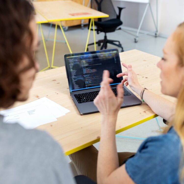 Two programmers discussing coding